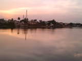 Araria
