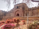 Jhansi