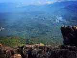 Koyilandy