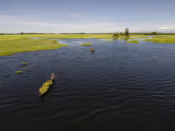 Majuli