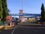 Palasa