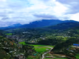 Senapati