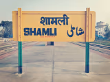 Shamli