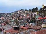 Shimla