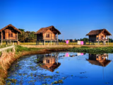 Tinsukia
