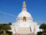 Wardha