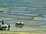 Ziro